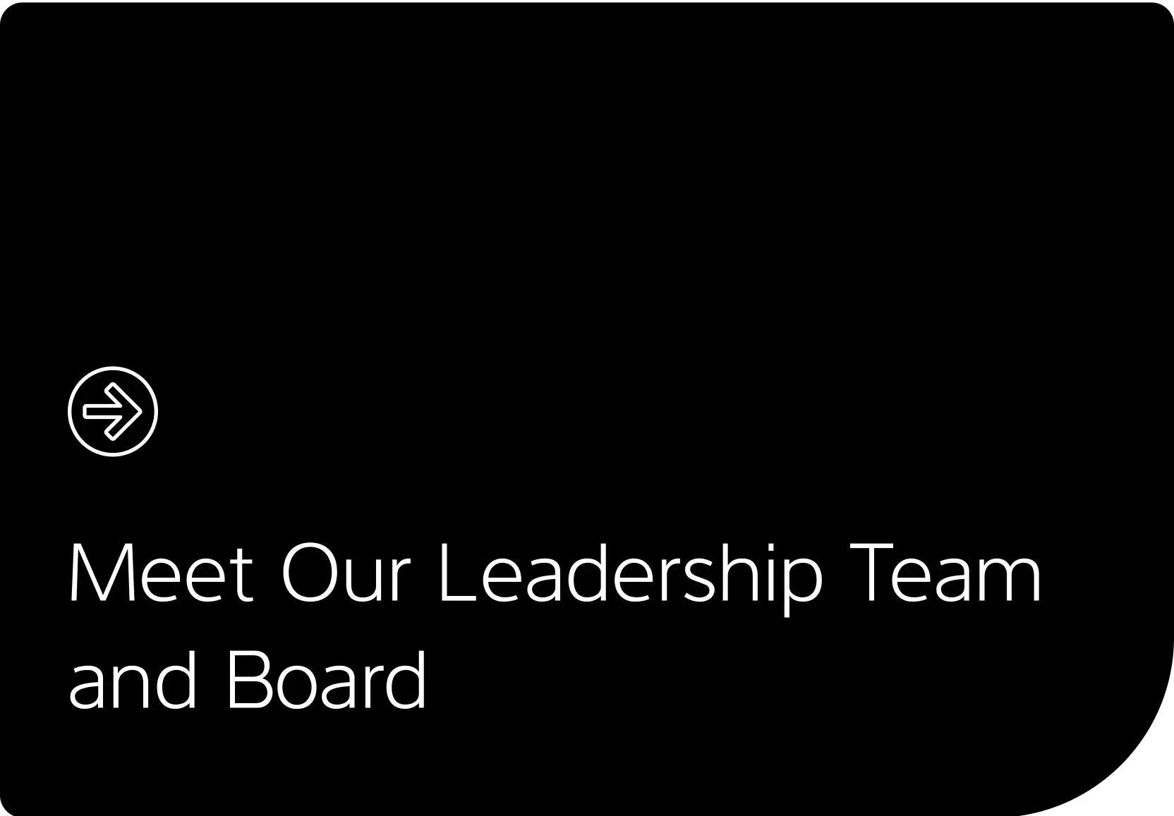 Meet our Leadership Team Board 1